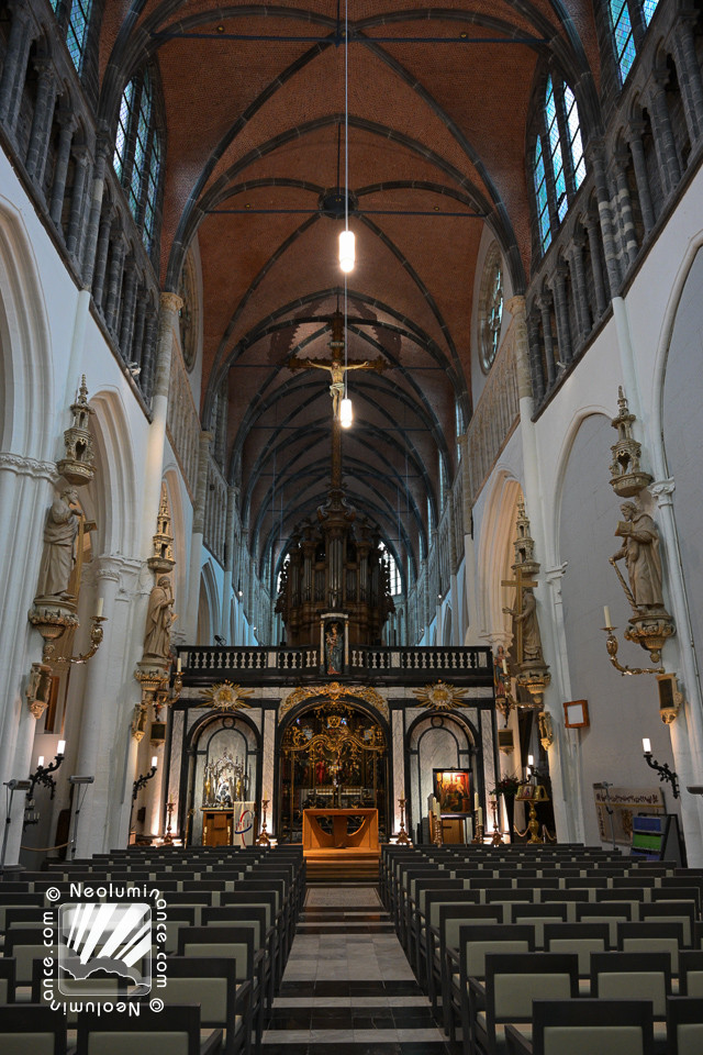Bruges Cathedral
