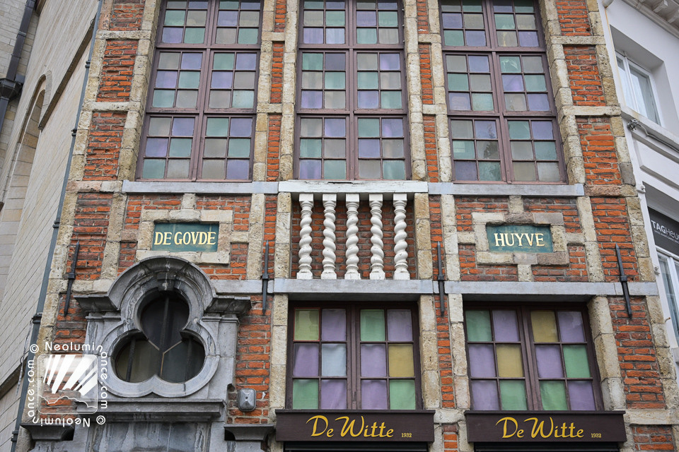 Brussels Windows