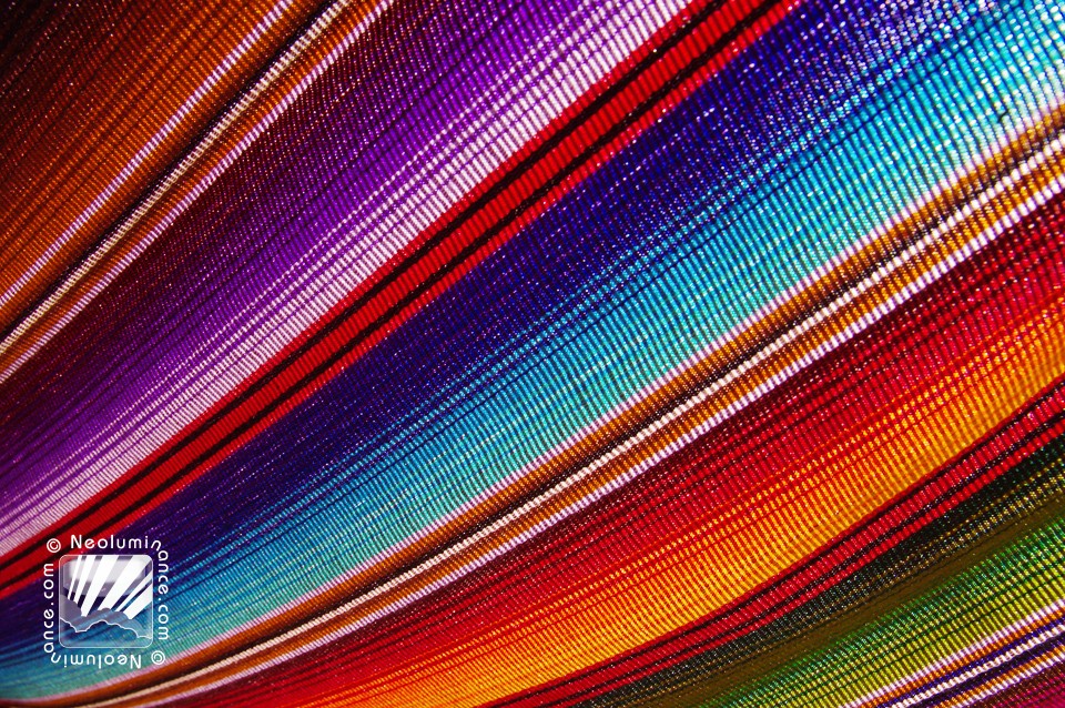 Guatemalan Rainbow